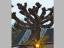Vorschaubild: Baum ohne Blattwerk