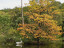 Vorschaubild: Herbst am Wasser